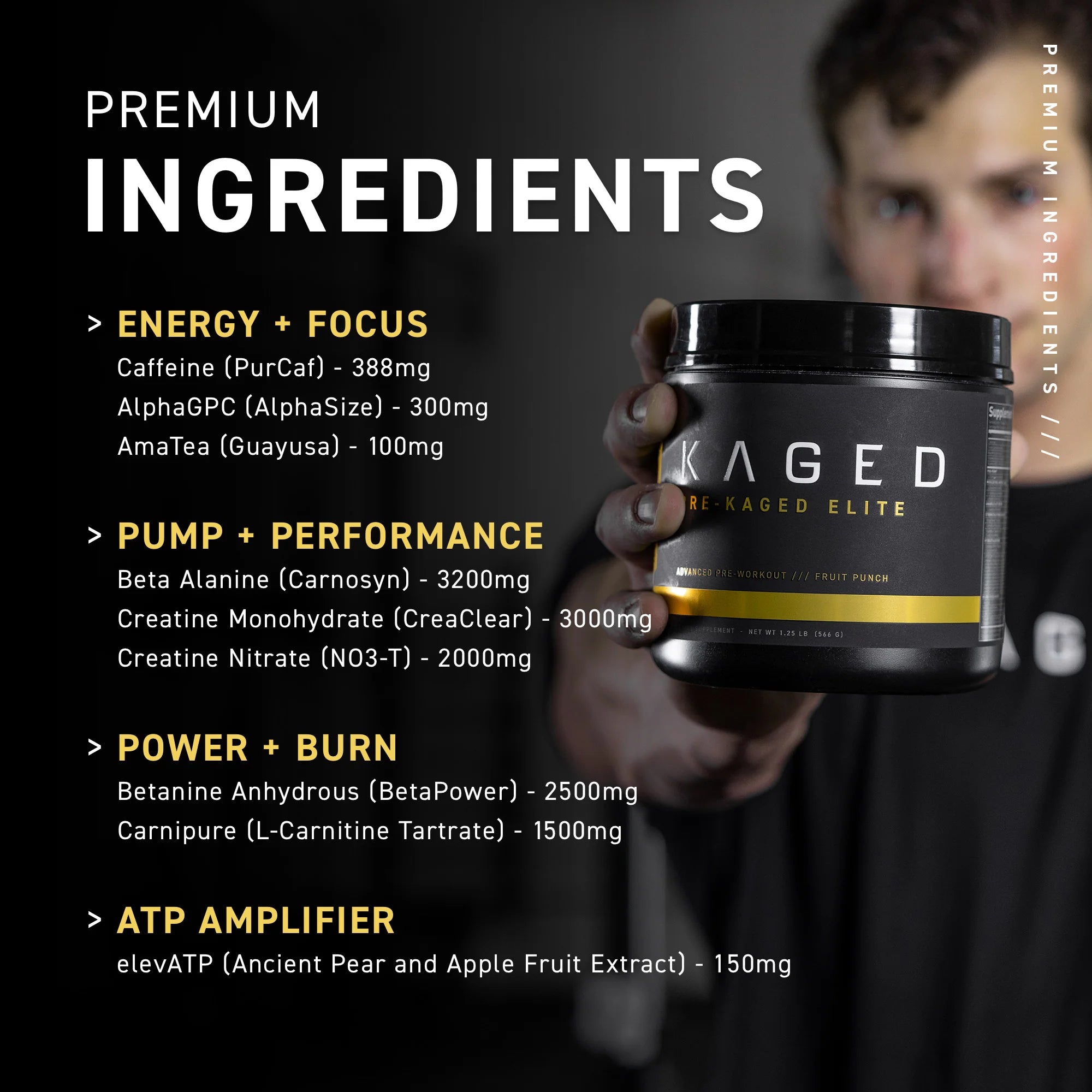 Premium Ingredients