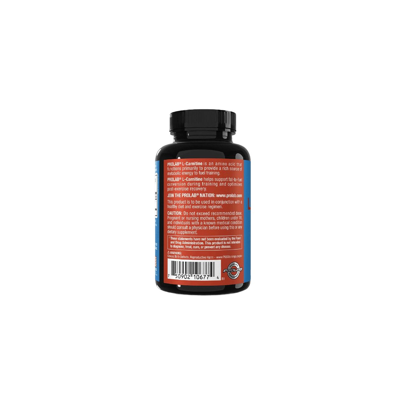 pronounce l carnitine Medical Words LCarnitine pronounce l carnitine l carnitine