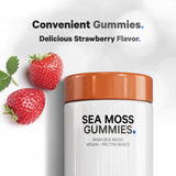 Sea Moss Gummies - Bodybuilding.com