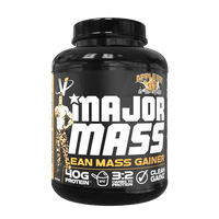 VMI Major Mass Lean Mass Gainer - Bodybuilding.com
