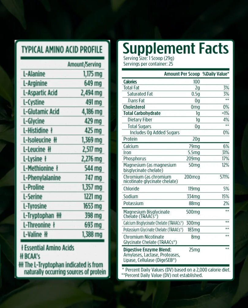 VMI ProtoLyte Plant Protein - Bodybuilding.com